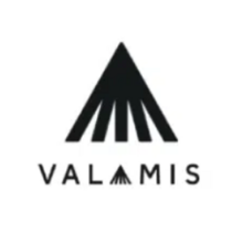 Valamis Promotional Square