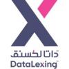 DataLexing Promotional Square